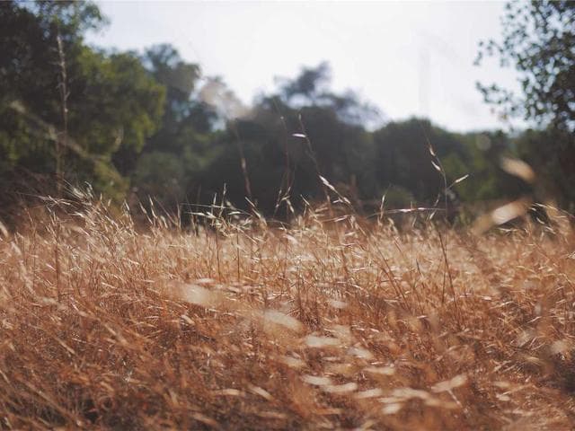Kaleici Teras 2